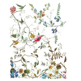 Iron Orchid Design Lost Garden Rub On Transfer Pad, 8 Pages, 12” x 16”