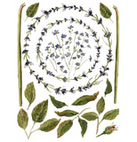 Iron Orchid Designs Painterly Florals Rub On Transfer Pad, 8 Pages, 12” x 16”