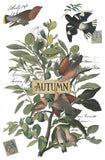 Iron Orchid Designs IOD Winter’s Calling Transfer Pad, 8 Pages 8” x 12” Tree Bird Month