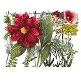 Iron Orchid Designs IOD Midnight Garden Rub On Transfer Pad, 4 Pages, 12” x 16”