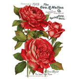 Iron Orchid Designs IOD Ephemeral Melange Rub On Transfer Pad 8 Pages, 8” x 12”