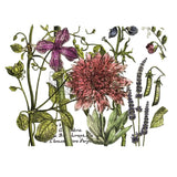 Iron Orchid Designs IOD Botanists Journal, Rub On Transfer Pad, 4 Pages, 16” x 12”