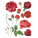 Iron Orchid Designs IOD Redoute II Rub On Transfer, 8 Page Pad, 12” x 16”