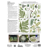 Iron Orchid Designs IOD Fronds Botanical Rub On Transfer Pad 16” x 12”, 4 Pages