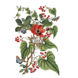 Iron Orchid Designs Clementine Rub On Transfer Pad, 8 Pages, 8” x 12”