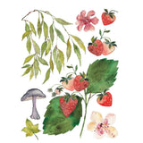 Iron Orchid Designs IOD Whispering Willow Rub On Transfer Pad 8 Pages, 12” x 16”