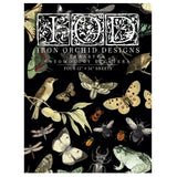 Iron Orchid Designs IOD Entomology Etcetera Rub On Transfer 4 Pages, 12” x 16”