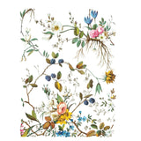 Iron Orchid Design Lost Garden Rub On Transfer Pad, 8 Pages, 12” x 16”