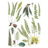 Iron Orchid Designs IOD Fronds Botanical Rub On Transfer Pad 16” x 12”, 4 Pages
