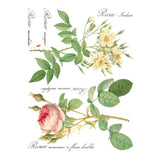 Iron Orchid Designs Rose Botanical Rub On Transfer, 8 Page Pad, 12” x 16”