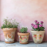 Iron Orchid Designs Saint Germain Rub On Transfer Pad, 8 Pages, 12” x 16”