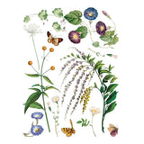 Iron Orchid Designs IOD Marche des Fleurs ™ Rub On Transfer Pad 8 Pages, 12” x 16”