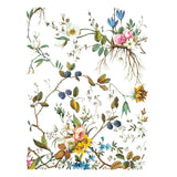 Iron Orchid Design Lost Garden Rub On Transfer Pad, 8 Pages, 12” x 16”