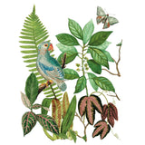 Iron Orchid Designs IOD Bungalow Rub On Transfer 8 Pages, 12” x 16”