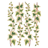 Iron Orchid Designs IOD Collage de Fleurs Rub On Transfer Pad 8 Pages 12” x 16”