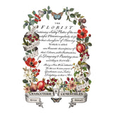 Iron Orchid Designs Clementine Rub On Transfer Pad, 8 Pages, 8” x 12”