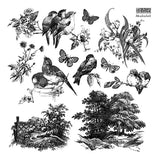 Iron Orchid Designs IOD Meadowlark 12 x 12” Stamp™ Birds Butterflies