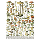 Iron Orchid Designs IOD Millot’s Pages Rub On Transfer Pad 8 Pages, 12” x 16”