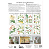 Iron Orchid Designs Rose Botanical Rub On Transfer, 8 Page Pad, 12” x 16”