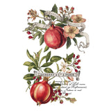 Iron Orchid Designs Clementine Rub On Transfer Pad, 8 Pages, 8” x 12”