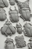 Iron Orchid Designs IOD Specimens Mould 6” x 10” Insect Beetle Mold New