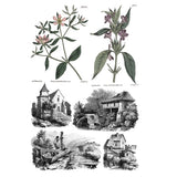 Iron Orchid Designs IOD Saint Quen™ Rub On Transfer Pad 8 Pages, 8” x 12”