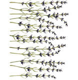 Iron Orchid Designs Painterly Florals Rub On Transfer Pad, 8 Pages, 12” x 16”