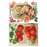 Iron Orchid Designs IOD Seed Catalogue Rub On Transfer 8 Pages, 8” x 12”