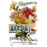 Iron Orchid Designs IOD Seed Catalogue Rub On Transfer 8 Pages, 8” x 12”