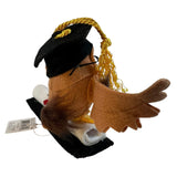 Annalee Wise Owl Graduation Diploma Mortarboard 2025 New College High School
