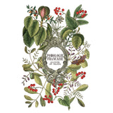 Iron Orchid Designs Clementine Rub On Transfer Pad, 8 Pages, 8” x 12”