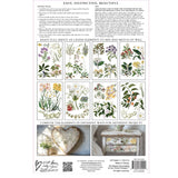 Iron Orchid Designs IOD Sarah Featon’s Botanicals Rub On Transfer Pad 8 Pages 8” x 12”