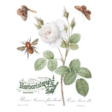 Iron Orchid Designs IOD Brocante Rub On Transfer Pad 8 Pages, 12” x 16”