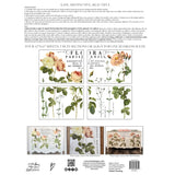 Iron Orchid Designs IOD Flora Parisiensis Rub On Transfer, 12” x 16” Pad, 4 Pages