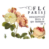 Iron Orchid Designs IOD Flora Parisiensis Rub On Transfer, 12” x 16” Pad, 4 Pages