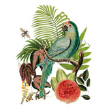 Iron Orchid Designs IOD Bungalow Rub On Transfer 8 Pages, 12” x 16”