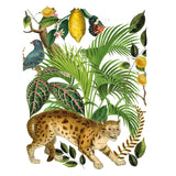 Iron Orchid Designs IOD Bungalow Rub On Transfer 8 Pages, 12” x 16”