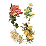 Iron Orchid Designs Catharina Rub On Transfer Pad, 8 Pages, 8” x 12”