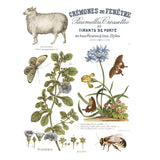 Iron Orchid Designs IOD Brocante Rub On Transfer Pad 8 Pages, 12” x 16”