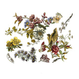 Iron Orchid Designs IOD Floral Anthology Rub On Transfer Pad 4 Pages, 12” x 16”