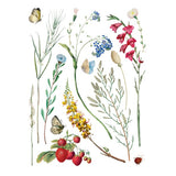 Iron Orchid Designs IOD Marche des Fleurs ™ Rub On Transfer Pad 8 Pages, 12” x 16”