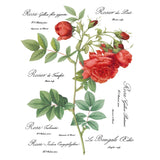 Iron Orchid Designs IOD Redoute II Rub On Transfer, 8 Page Pad, 12” x 16”