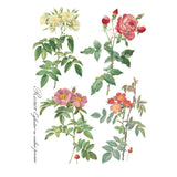 Iron Orchid Designs Rose Botanical Rub On Transfer, 8 Page Pad, 12” x 16”