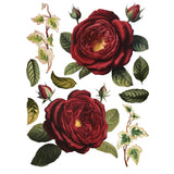 Iron Orchid Designs IOD Collage de Fleurs Rub On Transfer Pad 8 Pages 12” x 16”