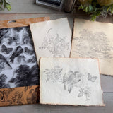 Iron Orchid Designs IOD Meadowlark 12” x 12” Stamp™ Birds Butterflies