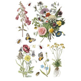 Iron Orchid Designs Wilde Bloemen Rub On Transfer Pad, 8 Pages, 8” x 12”