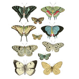 Iron Orchid Designs IOD Entomology Etcetera Rub On Transfer 4 Pages, 12” x 16”