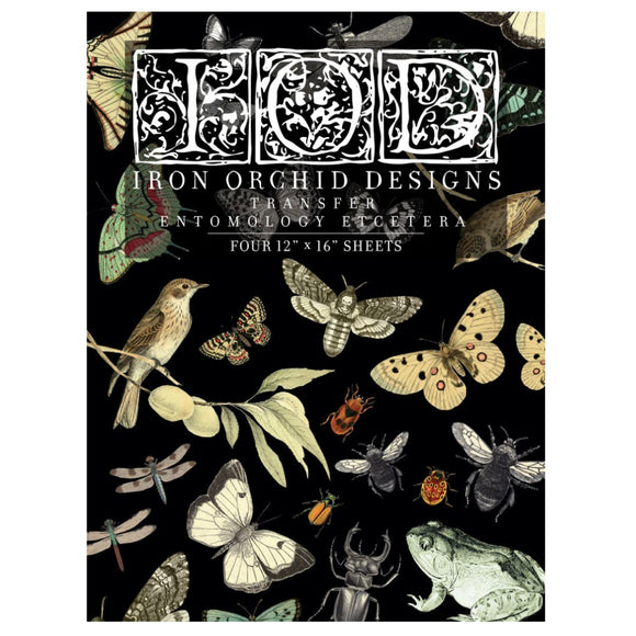 Iron Orchid Designs IOD Entomology Etcetera Rub On Transfer 4 Pages, 12” x 16”
