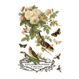 Iron Orchid Designs IOD By Any Other Name™ Rub On Transfer Pad 8 Pages, 8” x 12” Roses Butterflies