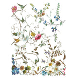 Iron Orchid Design Lost Garden Rub On Transfer Pad, 8 Pages, 12” x 16”